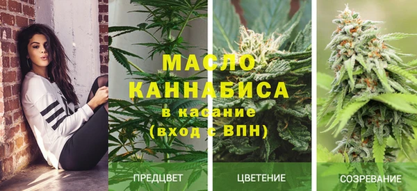 гашик Нягань