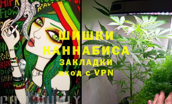 стафф Няндома