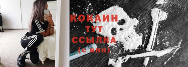 стафф Няндома