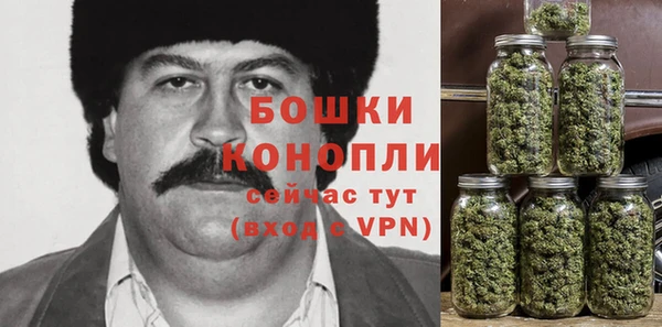 стафф Няндома