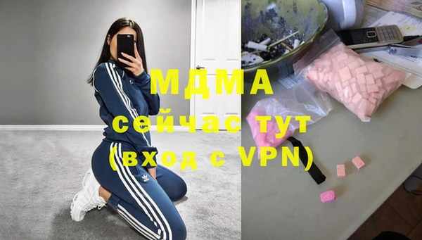 шишки Новодвинск