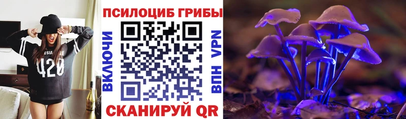 Галлюциногенные грибы мицелий  купить наркотик  Малаховка 